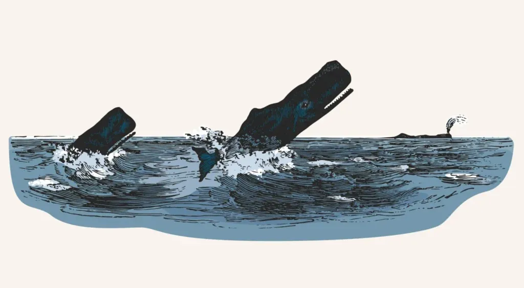 A Saga de Moby Dick: Liderança e Trabalho em Equipe