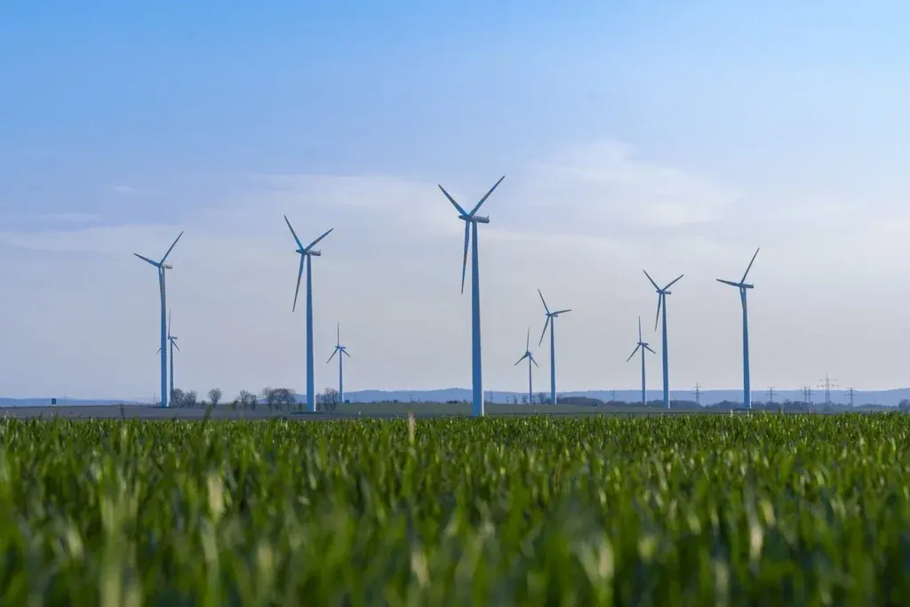 Investimentos Sustentáveis (ESG): Renda e Impacto Social